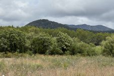 Domaine à Sa Pobla - finca rústica en crestatx