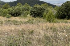 Domaine à Sa Pobla - finca rústica en crestatx