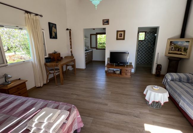 Domaine à Alcúdia - Finca Rústica en son fe con 3 casas Domaine à Alcúdia - Finca Rústica en son fe con 3 casas