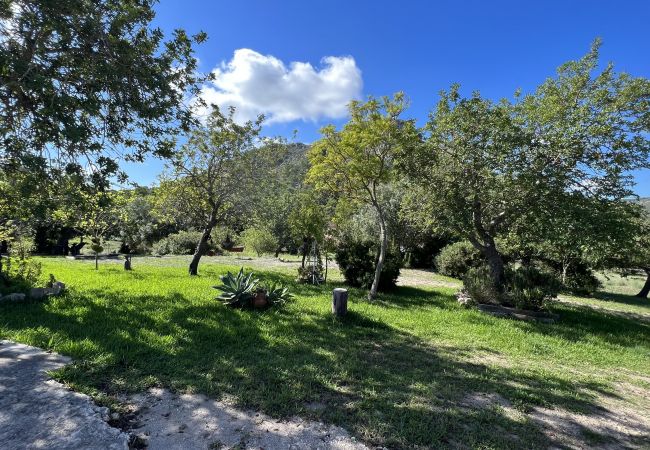 Domaine à Alcúdia - Finca Rústica en son fe con 3 casas Domaine à Alcúdia - Finca Rústica en son fe con 3 casas