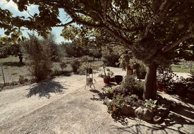 Domaine à Alcúdia - Finca Rústica en son fe con 3 casas Domaine à Alcúdia - Finca Rústica en son fe con 3 casas