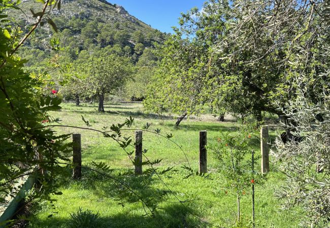 Domaine à Alcúdia - Finca Rústica en son fe con 3 casas Domaine à Alcúdia - Finca Rústica en son fe con 3 casas