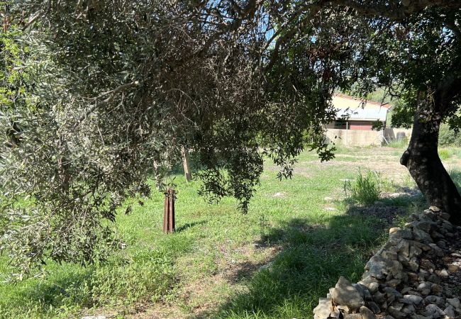 Domaine à Alcúdia - Finca Rústica en son fe con 3 casas Domaine à Alcúdia - Finca Rústica en son fe con 3 casas