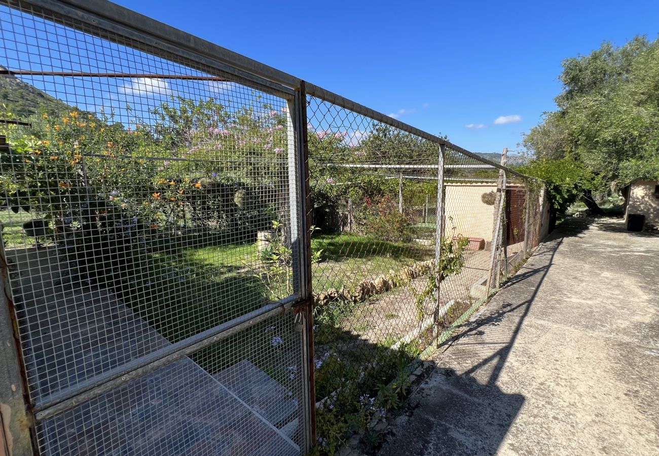 Domaine à Alcúdia - Finca Rústica en son fe con 3 casas Domaine à Alcúdia - Finca Rústica en son fe con 3 casas