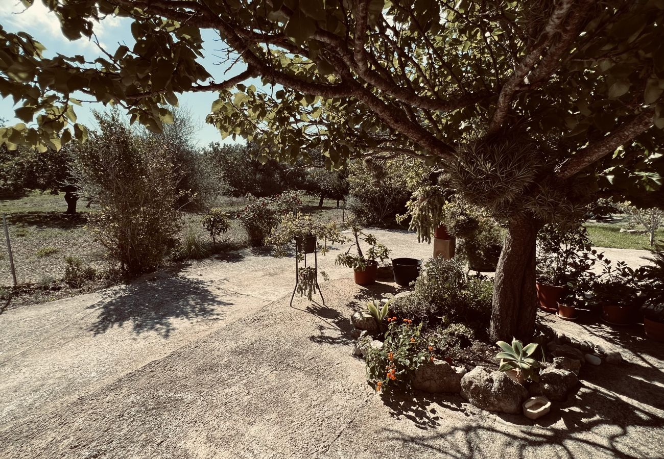 Domaine à Alcúdia - Finca Rústica en son fe con 3 casas Domaine à Alcúdia - Finca Rústica en son fe con 3 casas