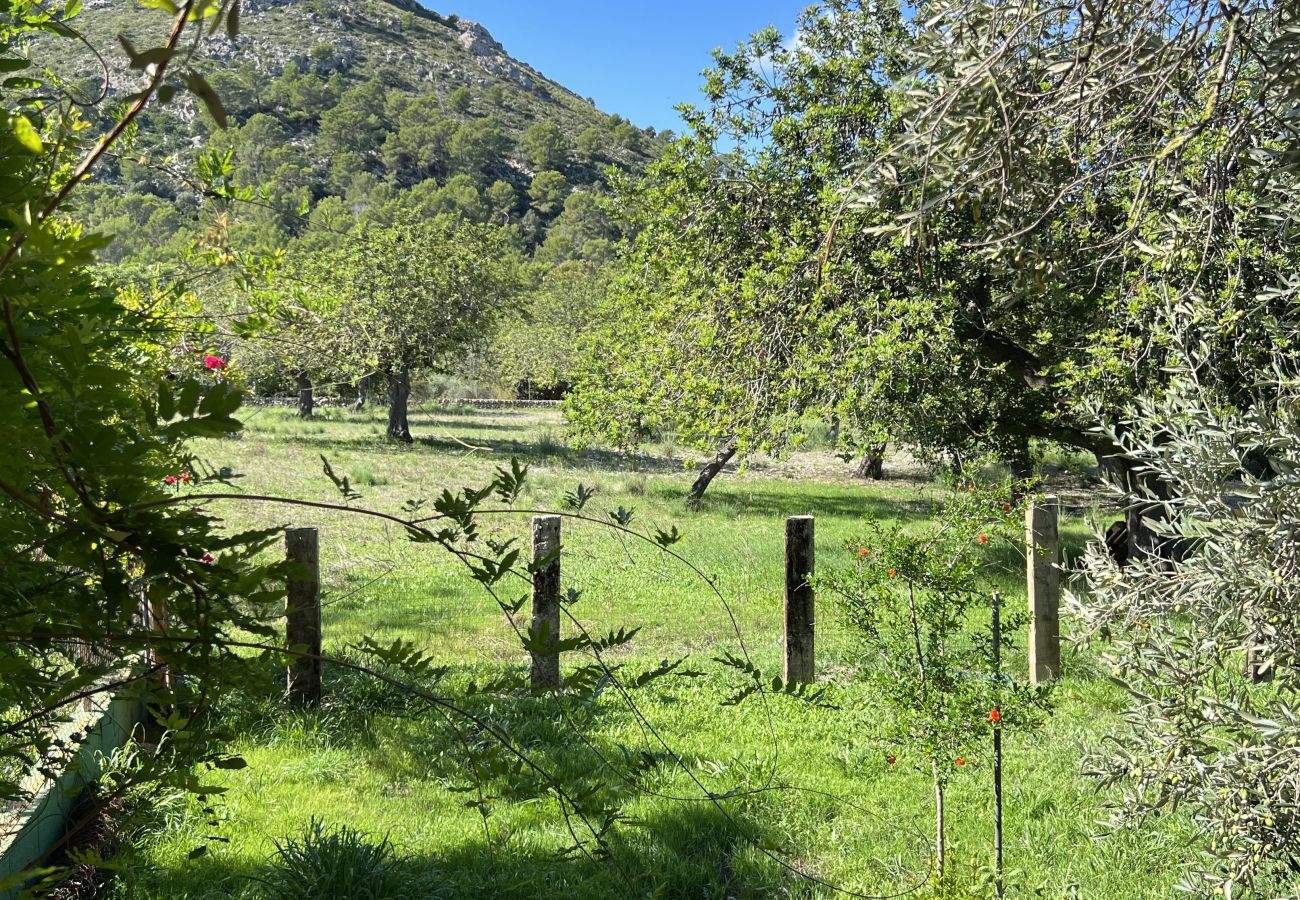 Domaine à Alcúdia - Finca Rústica en son fe con 3 casas Domaine à Alcúdia - Finca Rústica en son fe con 3 casas