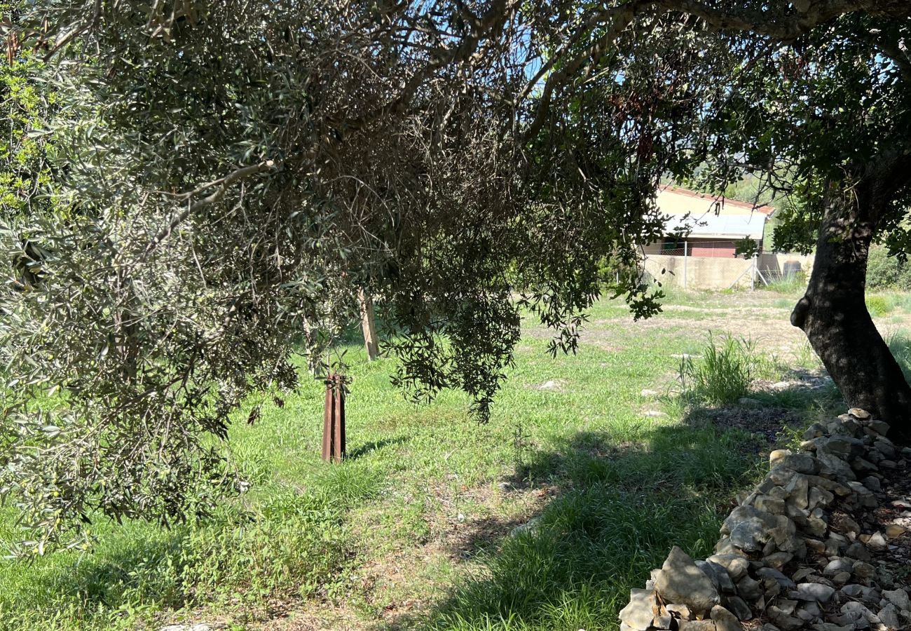 Domaine à Alcúdia - Finca Rústica en son fe con 3 casas Domaine à Alcúdia - Finca Rústica en son fe con 3 casas