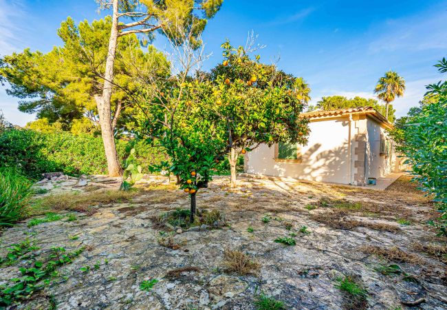 Chalet à Alcúdia - Chalet en Bonaire (Alcudia) Chalet à Alcúdia - Chalet en Bonaire (Alcudia)