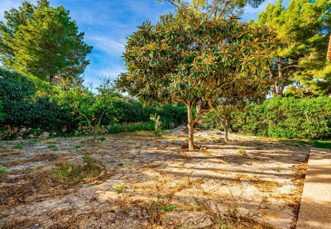 Chalet à Alcúdia - Chalet en Bonaire (Alcudia) Chalet à Alcúdia - Chalet en Bonaire (Alcudia)