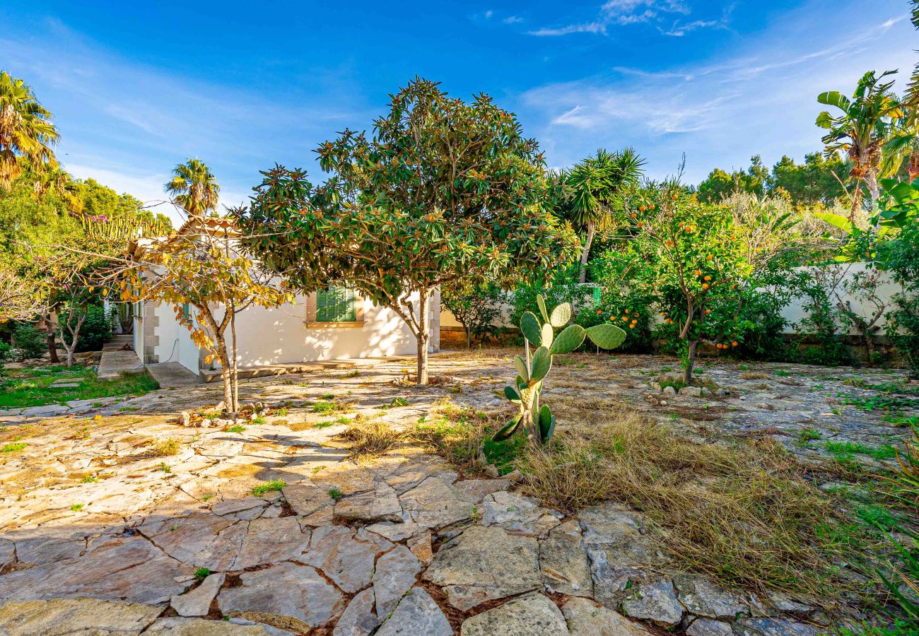 Chalet à Alcúdia - Chalet en Bonaire (Alcudia) Chalet à Alcúdia - Chalet en Bonaire (Alcudia)