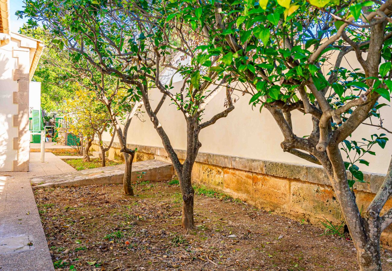 Chalet à Alcúdia - Chalet en Bonaire (Alcudia) Chalet à Alcúdia - Chalet en Bonaire (Alcudia)