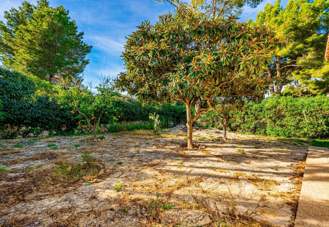 Chalet à Alcúdia - Chalet en Bonaire (Alcudia) Chalet à Alcúdia - Chalet en Bonaire (Alcudia)