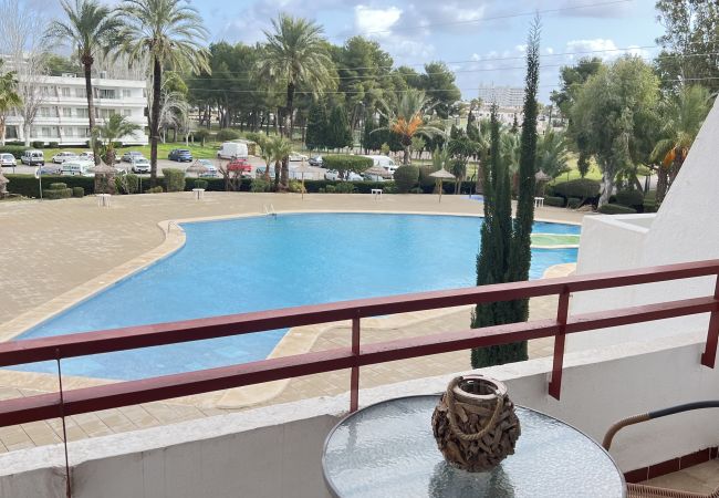 Studio à Alcúdia - (VENDIDO)Estudio en Puerto de Alcudia Studio à Alcúdia - (VENDIDO)Estudio en Puerto de Alcudia