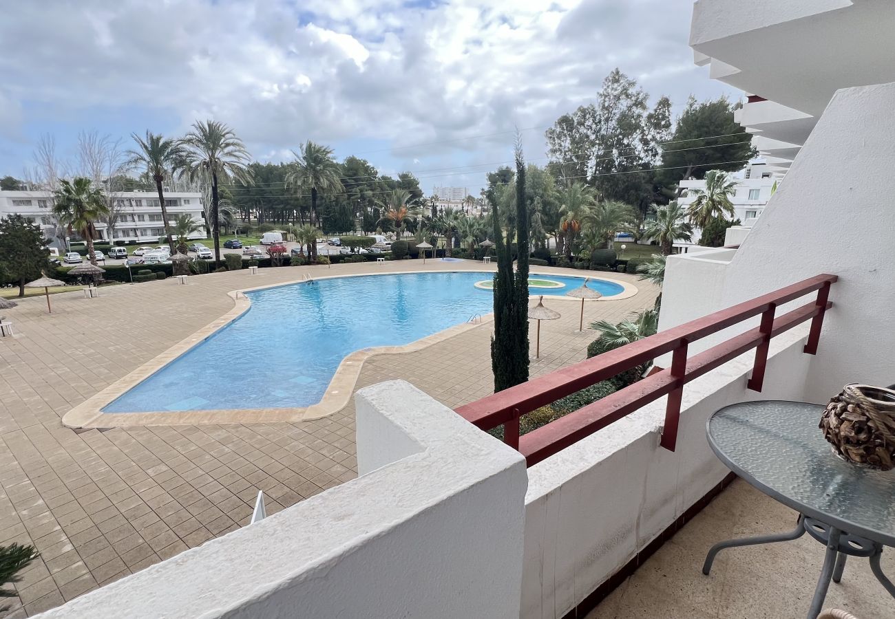 Studio à Alcúdia - (VENDIDO)Estudio en Puerto de Alcudia Studio à Alcúdia - (VENDIDO)Estudio en Puerto de Alcudia