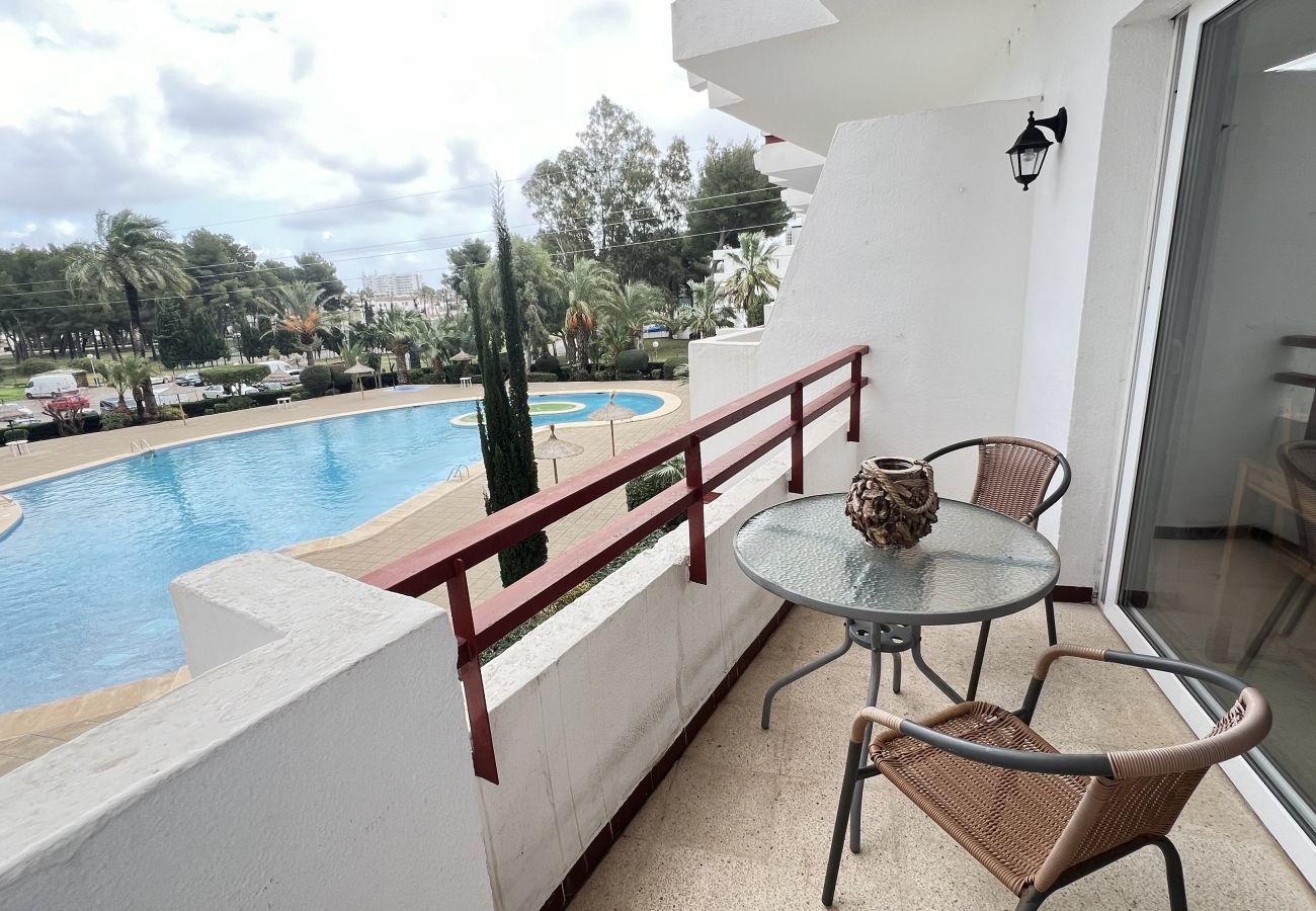 Studio à Alcúdia - (VENDIDO)Estudio en Puerto de Alcudia Studio à Alcúdia - (VENDIDO)Estudio en Puerto de Alcudia