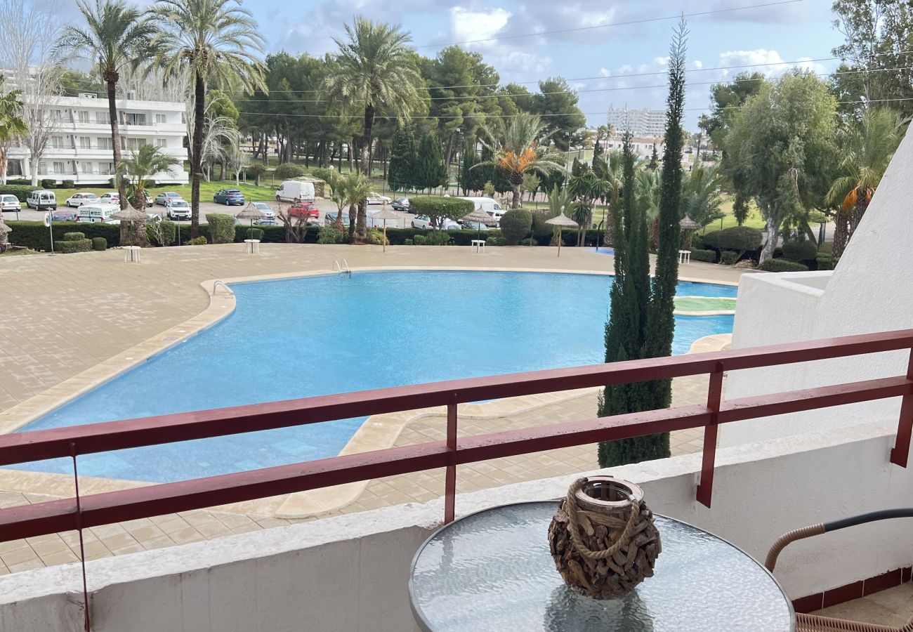 Studio à Alcúdia - (VENDIDO)Estudio en Puerto de Alcudia Studio à Alcúdia - (VENDIDO)Estudio en Puerto de Alcudia