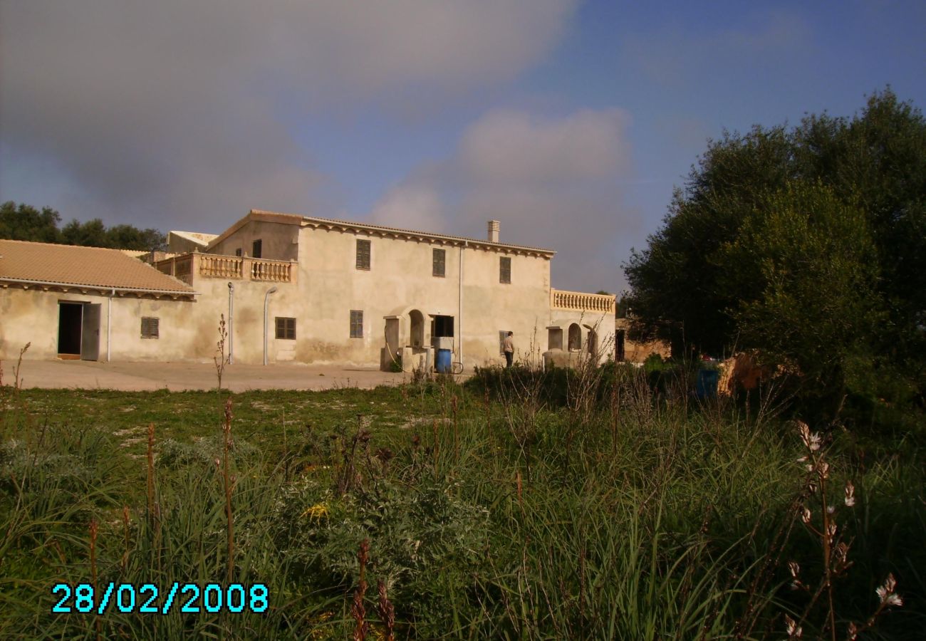 Domaine à Petra - Finca rústica Petra