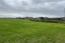 Domaine à Muro - finca rústica en Muro con proyecto y licencia 