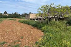 Domaine à Llubi - finca rústica en Llubi
