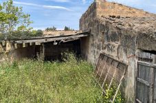 Domaine à Llubi - finca rústica en Llubi