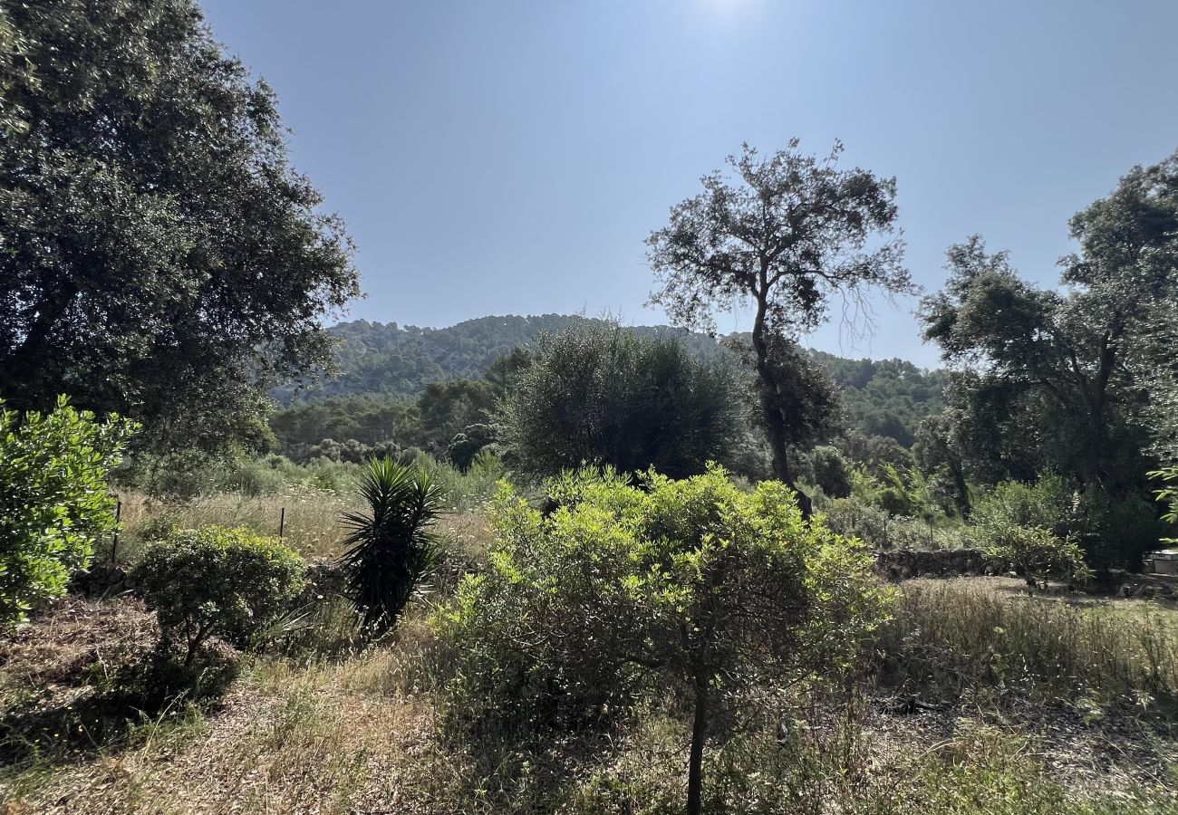 Parcelle à Sa Pobla - Terreno en Son Toni con proyecto