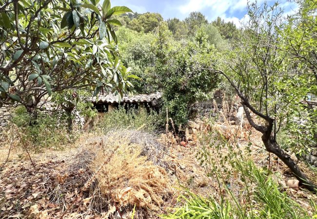 Maison à Caimari - Casa de Pueblo en Caimari Maison à Caimari - Casa de Pueblo en Caimari