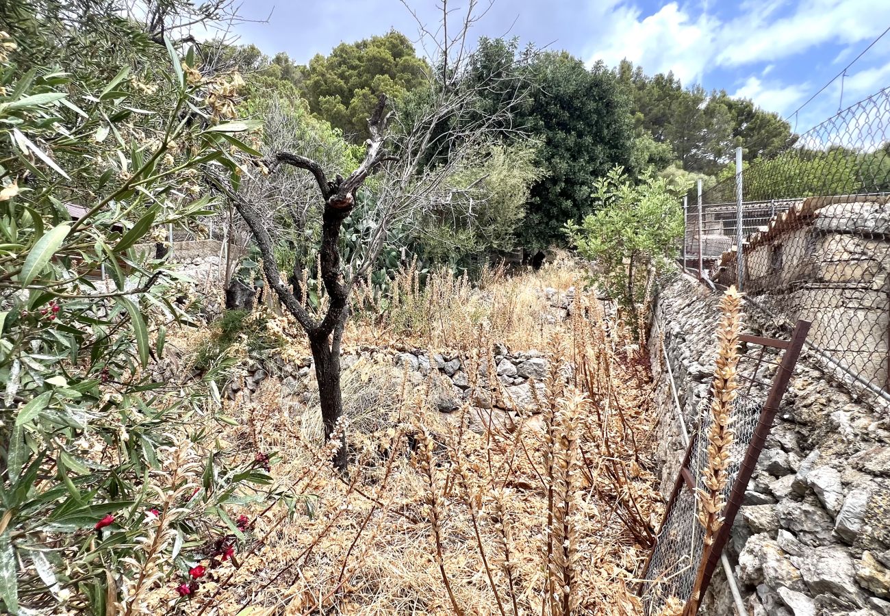 Maison à Caimari - Casa de Pueblo en Caimari Maison à Caimari - Casa de Pueblo en Caimari