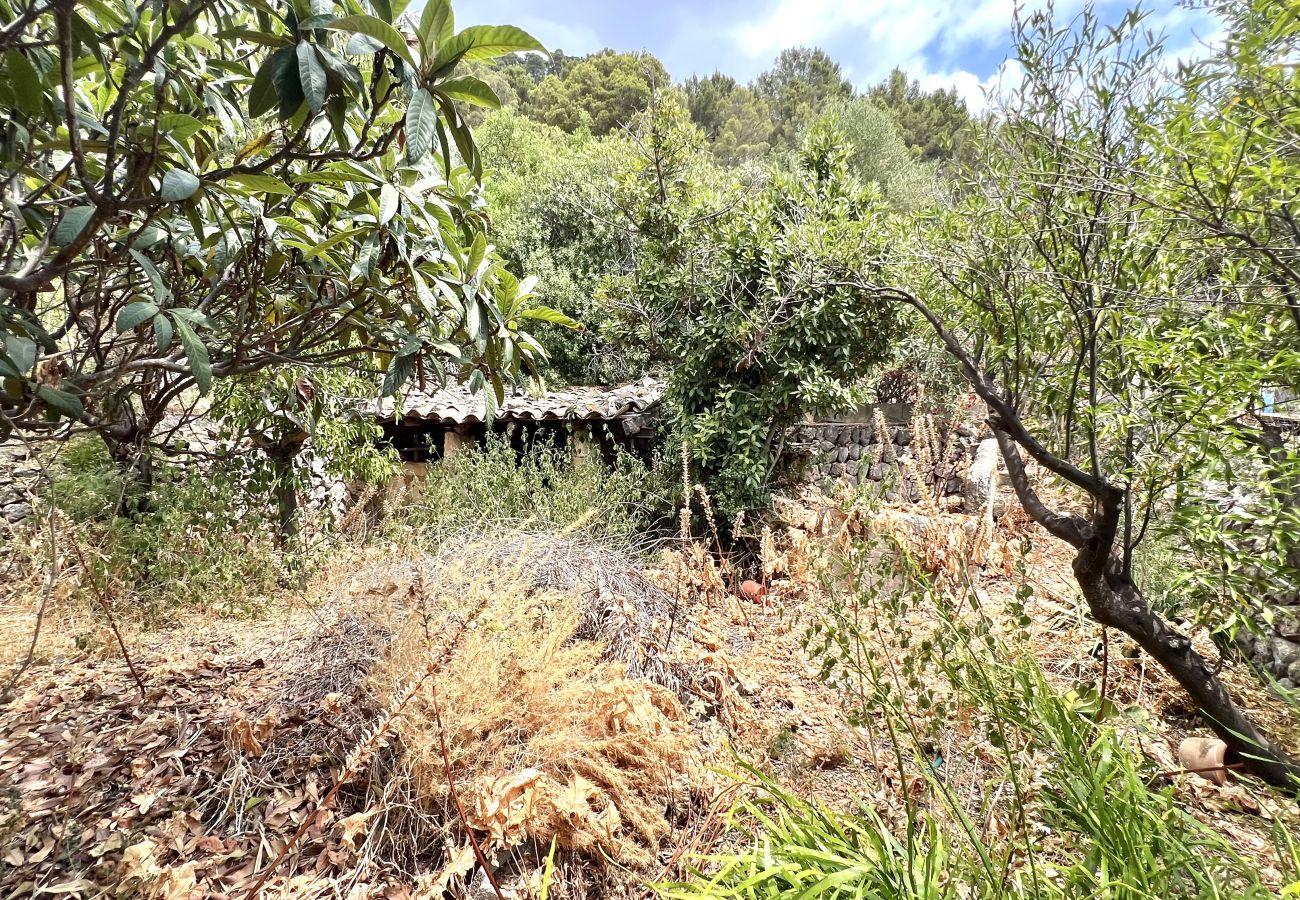 Maison à Caimari - Casa de Pueblo en Caimari Maison à Caimari - Casa de Pueblo en Caimari