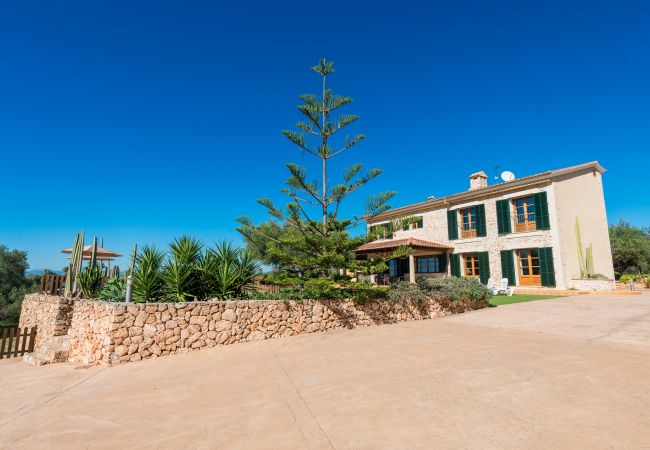 Finca en Palma de Mallorca - S`ARANJASSA 224853 Finca en Palma de Mallorca - S`ARANJASSA 224853