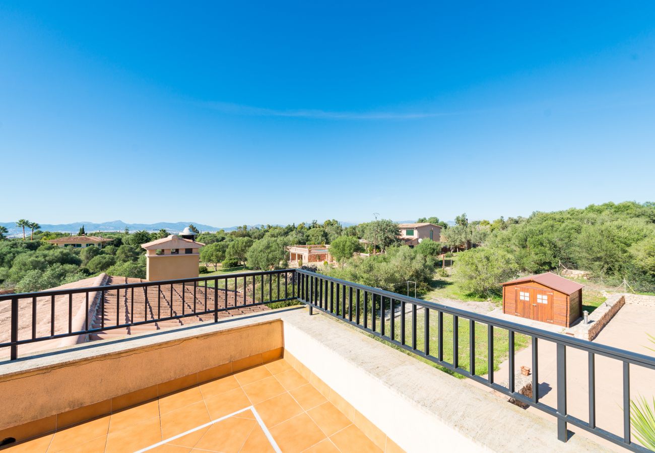 Finca en Palma de Mallorca - S`ARANJASSA 224853 Finca en Palma de Mallorca - S`ARANJASSA 224853