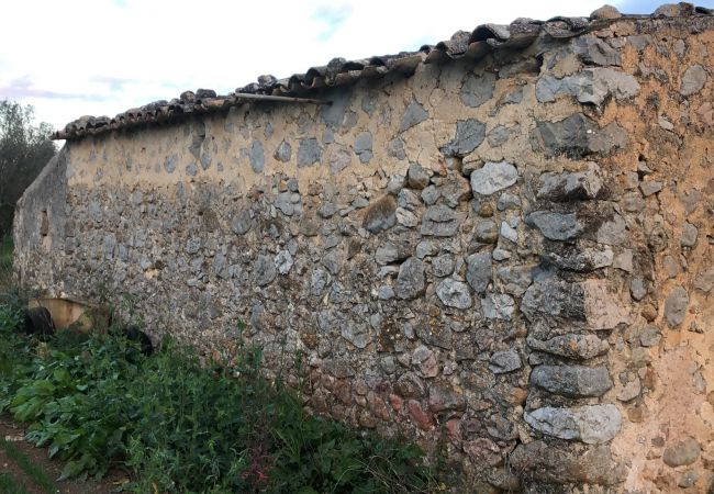 Casa rural en Campanet - finca rústica campanet Casa rural en Campanet - finca rústica campanet