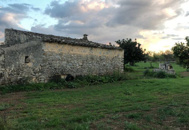 Casa rural en Campanet - finca rústica campanet Casa rural en Campanet - finca rústica campanet