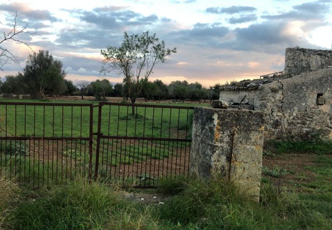 Casa rural en Campanet - finca rústica campanet Casa rural en Campanet - finca rústica campanet