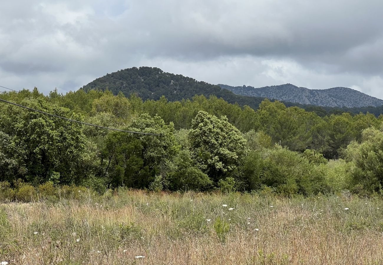 Finca en Sa Pobla - finca rústica en crestatx