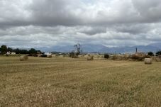 Casa rural en Sa Pobla - Terreno con vivienda antigua entre Sa Pobla y Muro