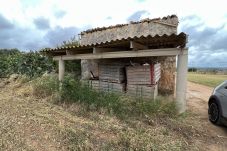 Casa rural en Sa Pobla - Terreno con vivienda antigua entre Sa Pobla y Muro