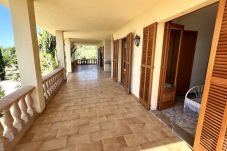 Finca en Lloseta - Finca rústica Lloiseta