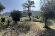 Parcela en Sa Pobla - Terreno en Son Toni con proyecto