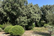 Parcela en Sa Pobla - Terreno en Son Toni con proyecto