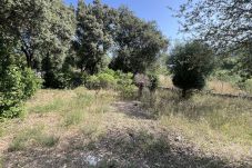 Parcela en Sa Pobla - Terreno en Son Toni con proyecto