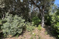 Parcela en Sa Pobla - Terreno en Son Toni con proyecto